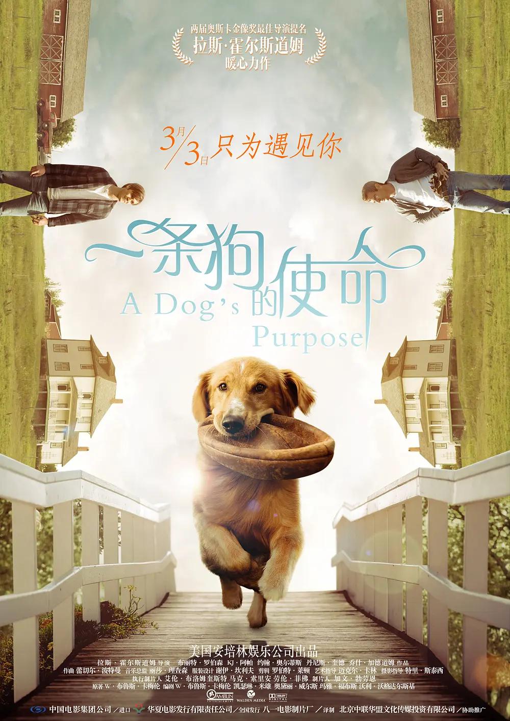 欧美少妇高潮喷水(🧒)