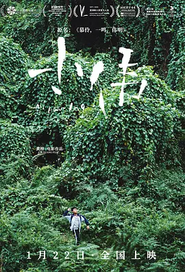 小伟2019[电影解说]