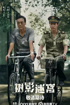 树影迷宫
